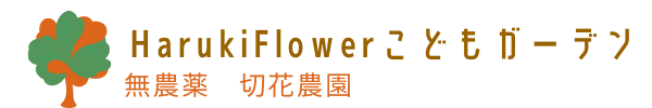 HarukiFlowerこどもガーデン